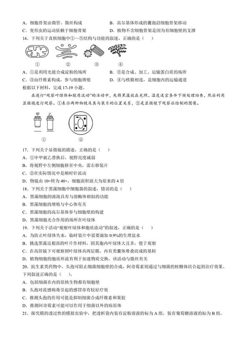[生物]浙江省育英中学温州第十四高级中学2024～2025学年高一上学期10月联考试题(有答案)第3页