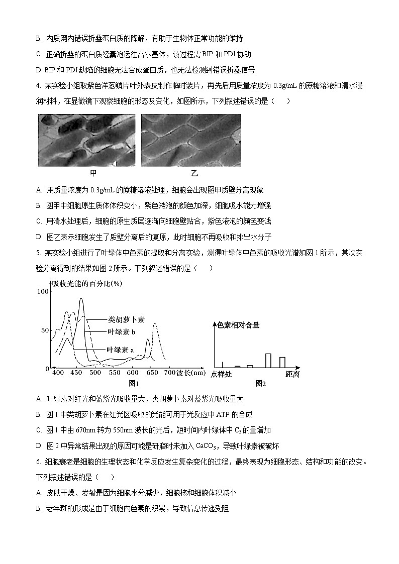 河南省开封市尉氏县联考2024-2025学年高三上学期10月月考生物试题（学生版）第2页