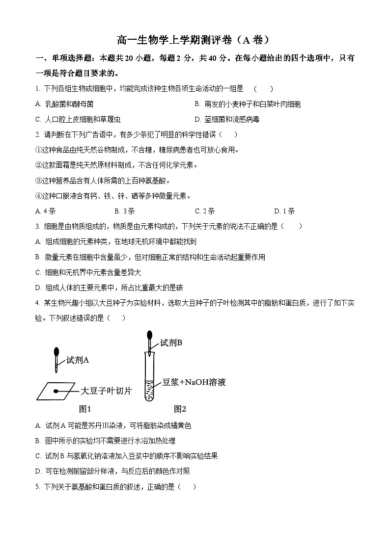 湖南省衡阳市衡阳县部分学校2024-2025学年高一上学期第一次月考生物试题（A卷）（学生版）第1页