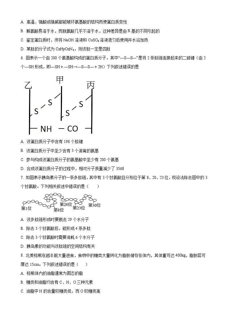 湖南省衡阳市衡阳县部分学校2024-2025学年高一上学期第一次月考生物试题（A卷）（学生版）第2页