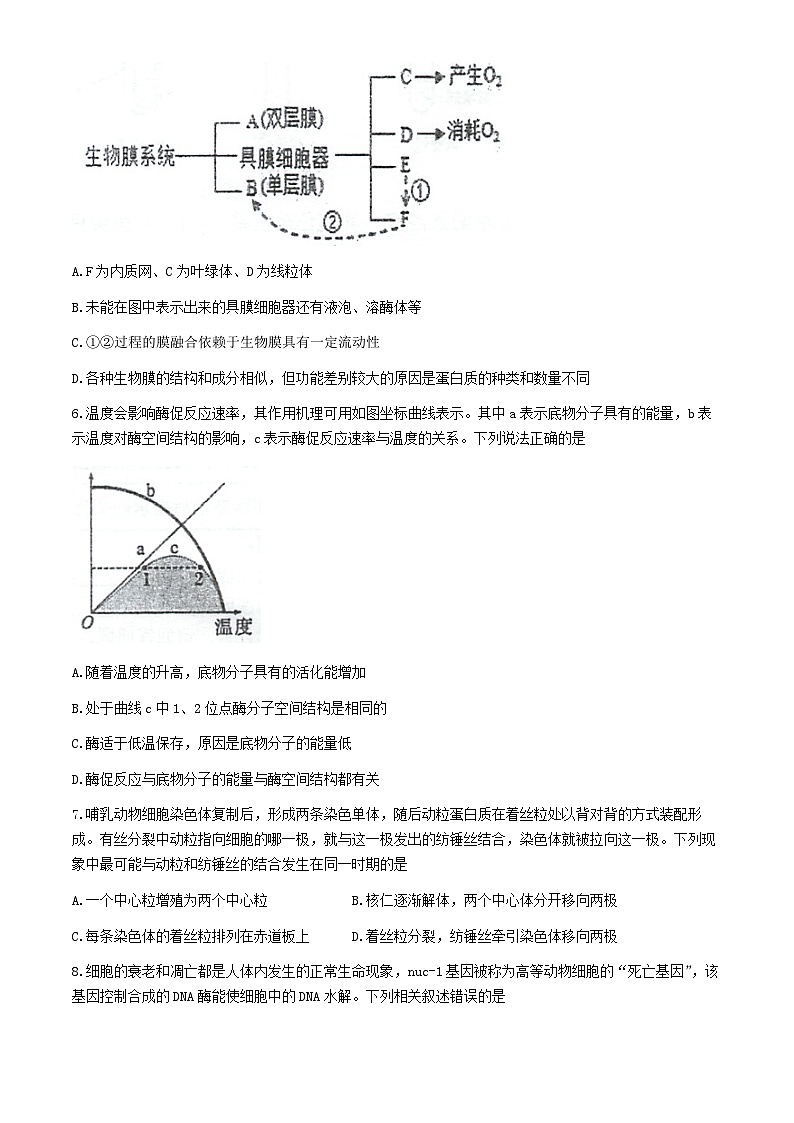 江苏省泰州市海陵区江苏省泰州中学2024-2025学年高三上学期10月月考生物试题(无答案)02