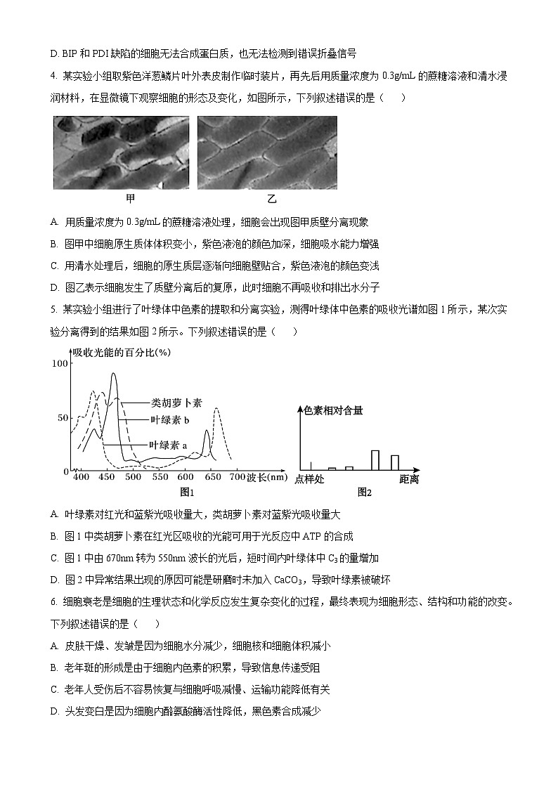 河南省开封尉氏县2024-2025学年高三上学期开学考生物试卷（学生版）第2页