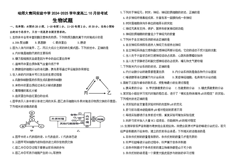 黑龙江省哈尔滨师范大学青冈实验中学2024-2025学年高二上学期10月月考生物试题第1页