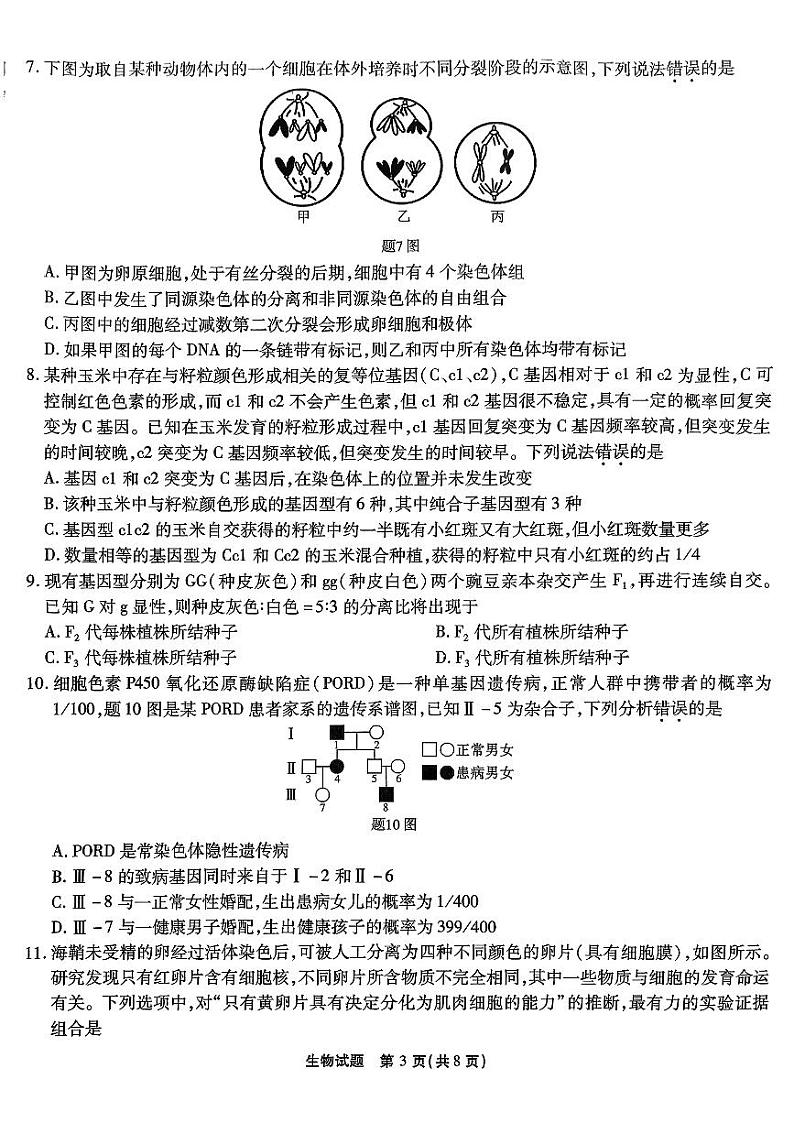 重庆市（南开）高2025届高三第二次质量检测试卷生物第3页