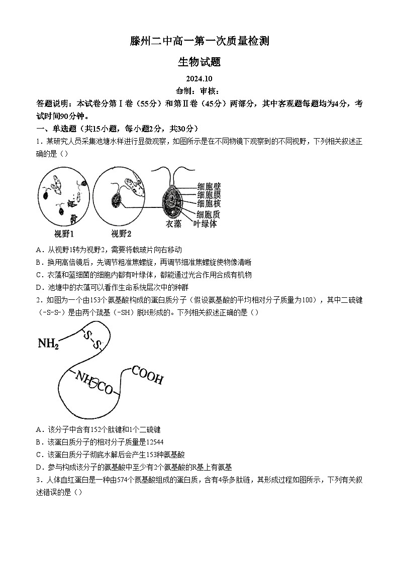 山东省滕州市第二中学2024-2025学年高一上学期第一次质量检测生物试题第1页