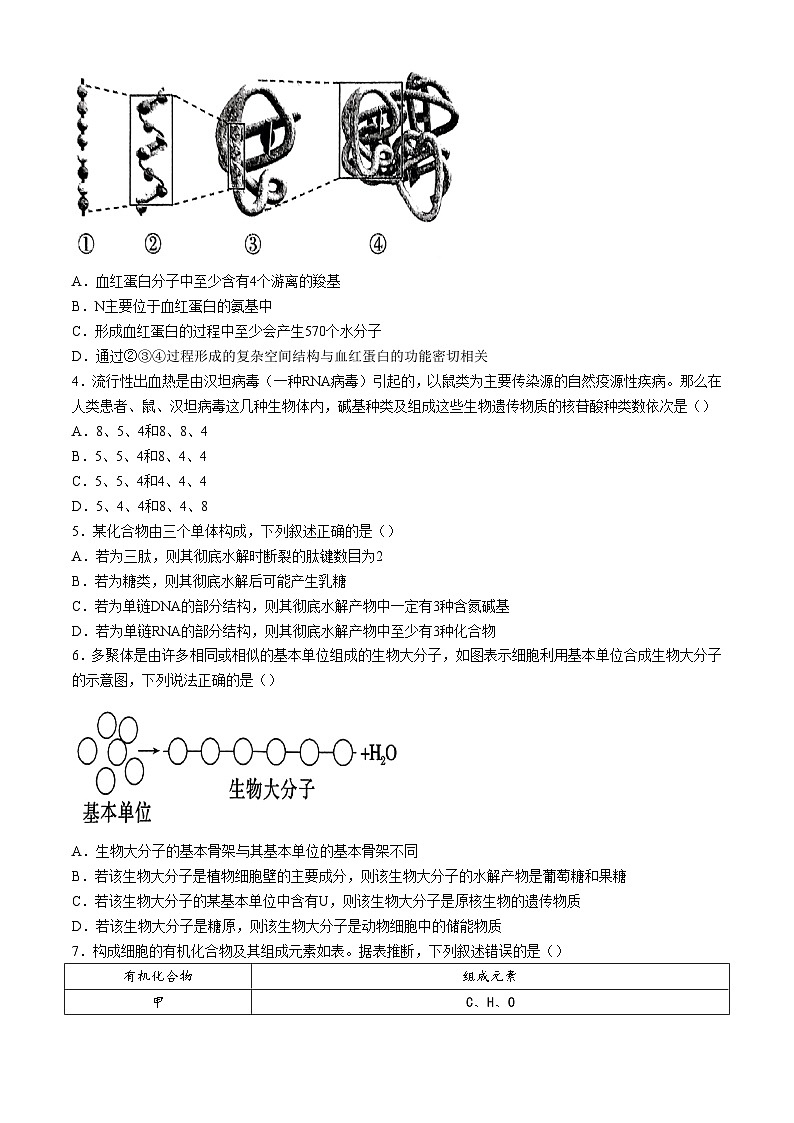 山东省滕州市第二中学2024-2025学年高一上学期第一次质量检测生物试题第2页