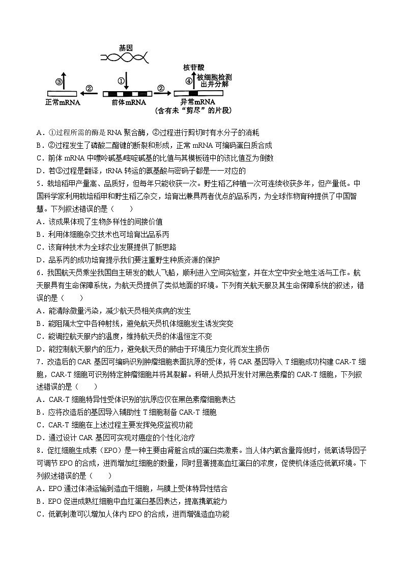 广东潮州饶平2024-2025高三上学期第二次月考质量生物检测试题(无答案)第2页