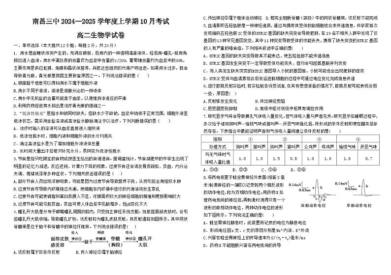 江西省南昌市第三中学2024-2025学年高二上学期10月月考生物试题01