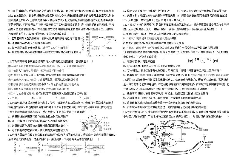 江西省南昌市第三中学2024-2025学年高二上学期10月月考生物试题02