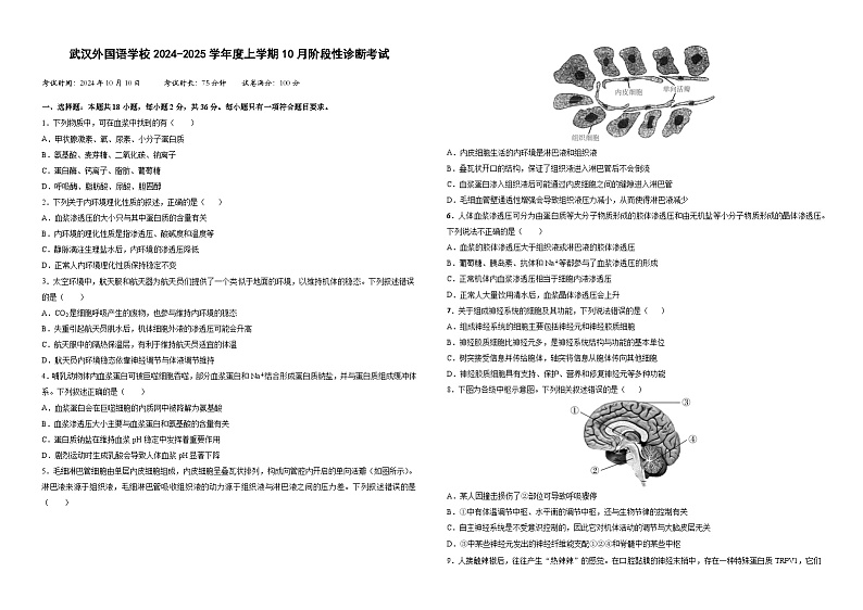 湖北省武汉外国语学校2024-2025学年高二上学期10月阶段性诊断考试生物试题第1页