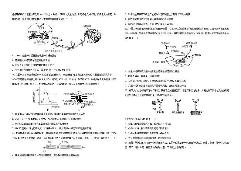湖北省武汉外国语学校2024-2025学年高二上学期10月阶段性诊断考试生物试题第2页
