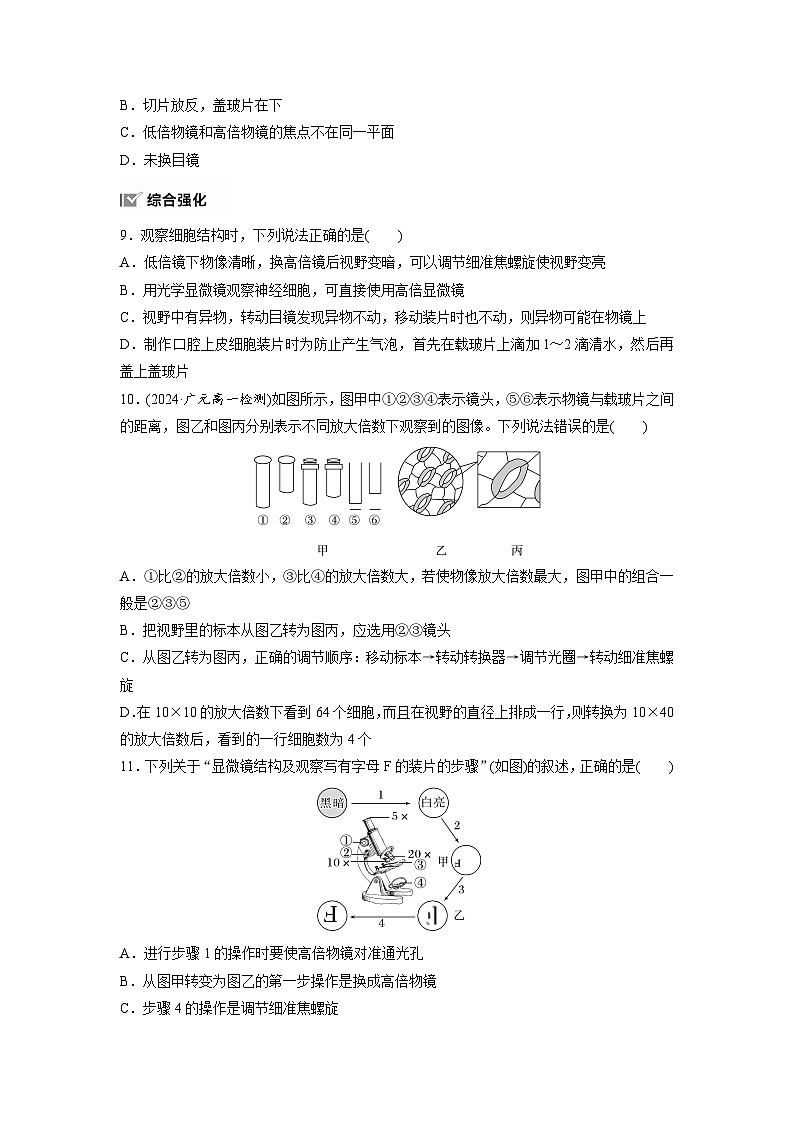 高中生物新教材同步必修第一册课件+讲义 第1章　第2节　第1课时　观察细胞03