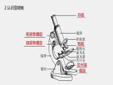 高中生物新教材同步必修第一册课件+讲义 第1章　第2节　第1课时　观察细胞