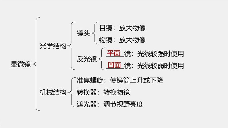 高中生物新教材同步必修第一册课件+讲义 第1章　第2节　第1课时　观察细胞06