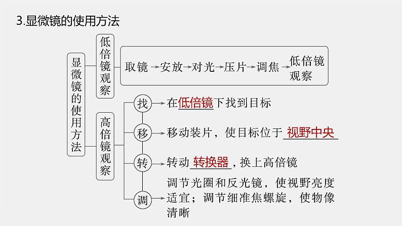 高中生物新教材同步必修第一册课件+讲义 第1章　第2节　第1课时　观察细胞07