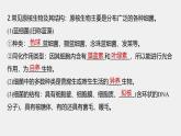 高中生物新教材同步必修第一册课件+讲义 第1章　第2节　第2课时　原核细胞和真核细胞