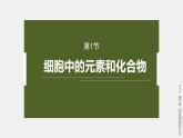 高中生物新教材同步必修第一册课件+讲义 第2章　第1节　细胞中的元素和化合物