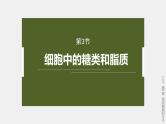 高中生物新教材同步必修第一册课件+讲义 第2章　第3节　细胞中的糖类和脂质