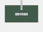 高中生物新教材同步必修第一册课件+讲义 第2章　第3节　细胞中的糖类和脂质