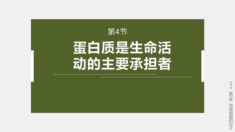第2章　第4节　蛋白质是生命活动的主要承担者第2页