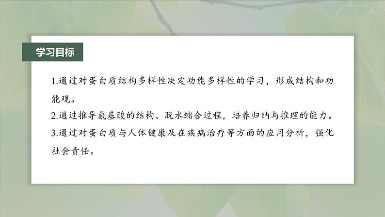 第2章　第4节　蛋白质是生命活动的主要承担者第3页