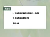 高中生物新教材同步必修第一册课件+讲义 第2章　第4节　蛋白质是生命活动的主要承担者