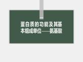 高中生物新教材同步必修第一册课件+讲义 第2章　第4节　蛋白质是生命活动的主要承担者