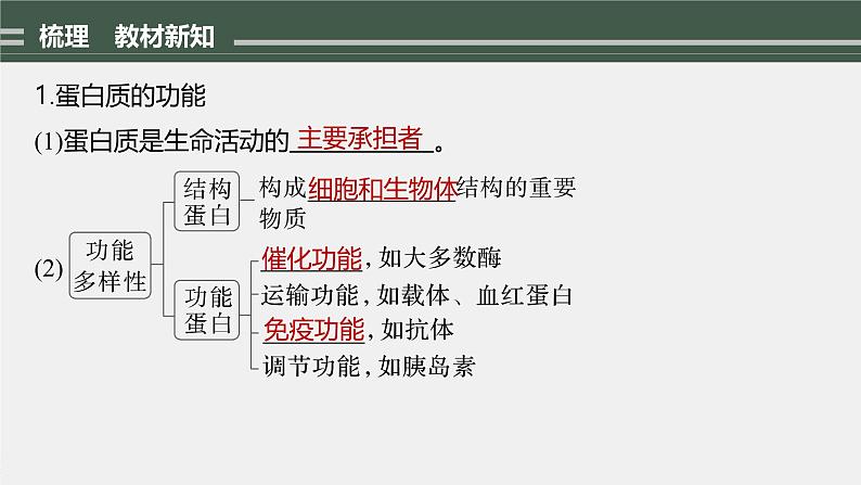 第2章　第4节　蛋白质是生命活动的主要承担者第6页