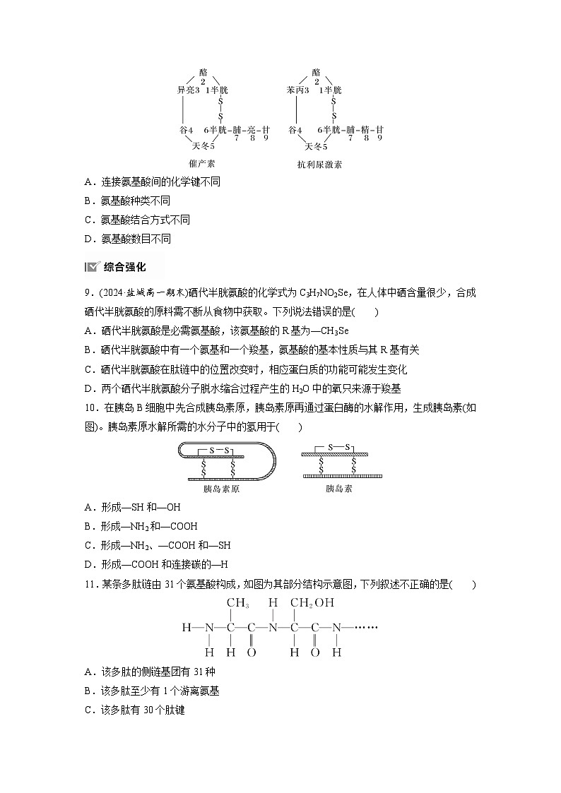 第2章　作业7　蛋白质是生命活动的主要承担者（练习）第3页