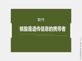 高中生物新教材同步必修第一册课件+讲义 第2章　第5节　核酸是遗传信息的携带者