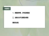 高中生物新教材同步必修第一册课件+讲义 第2章　第5节　核酸是遗传信息的携带者
