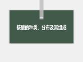 高中生物新教材同步必修第一册课件+讲义 第2章　第5节　核酸是遗传信息的携带者