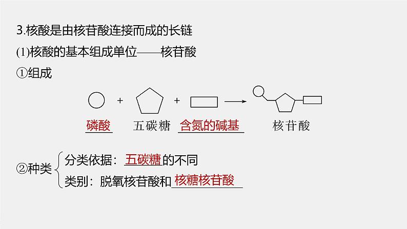 第2章　第5节　核酸是遗传信息的携带者第7页