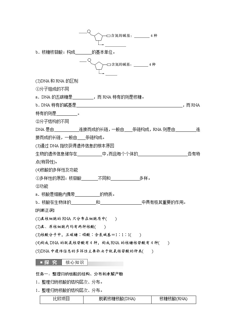 第2章　第5节　核酸是遗传信息的携带者（学生版）第2页