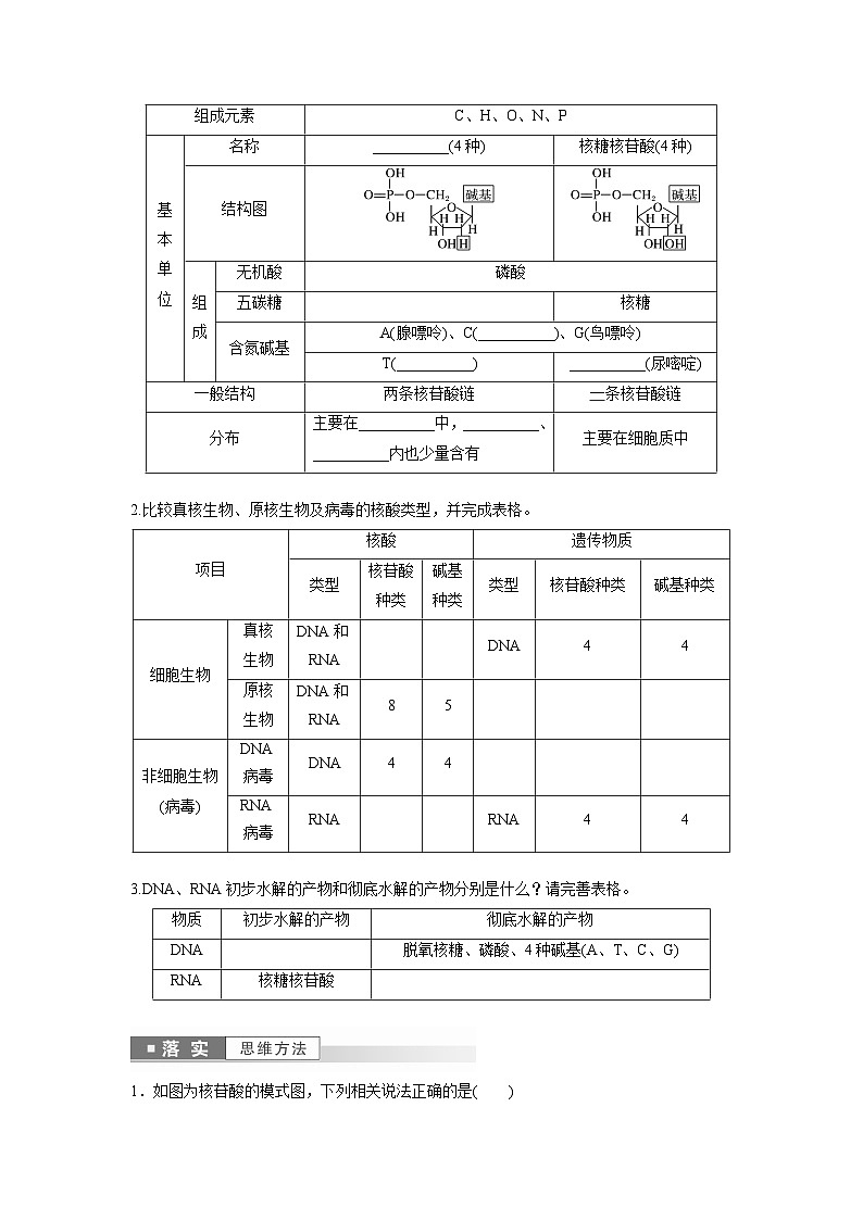 第2章　第5节　核酸是遗传信息的携带者（学生版）第3页
