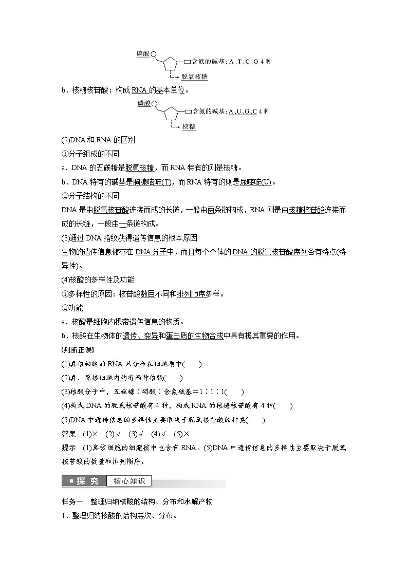 第2章　第5节　核酸是遗传信息的携带者（教师版）第2页