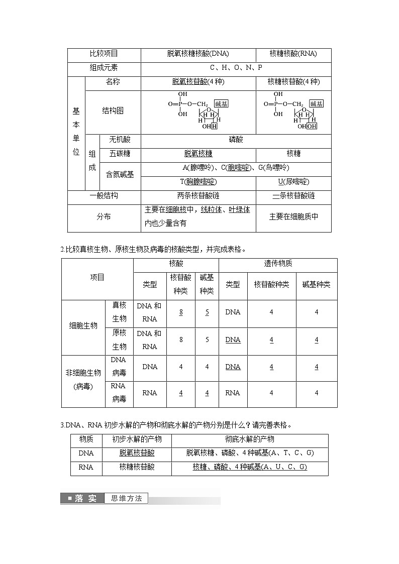 第2章　第5节　核酸是遗传信息的携带者（教师版）第3页