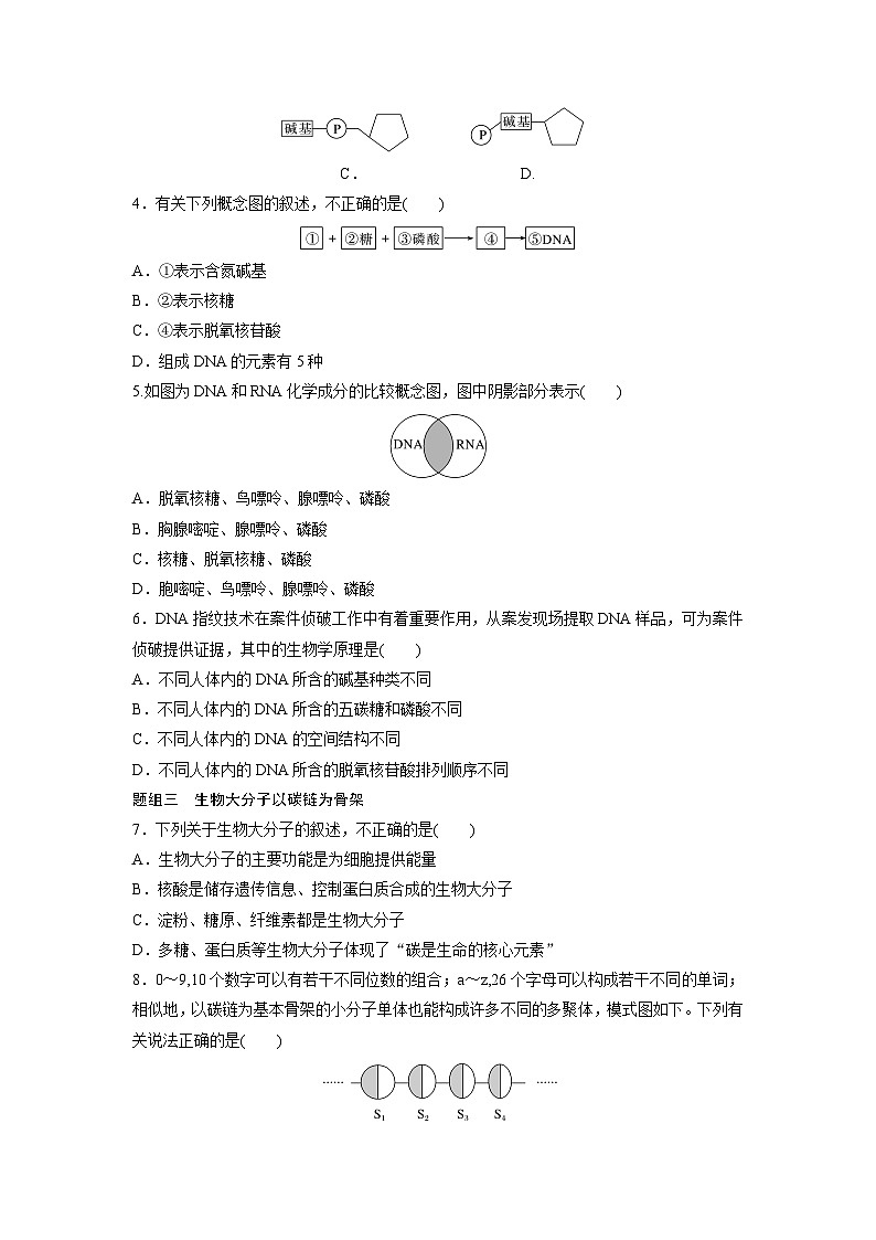 第2章　作业8　核酸是遗传信息的携带者（练习）第2页