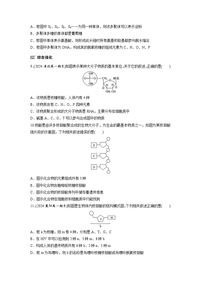 第2章　作业8　核酸是遗传信息的携带者（练习）第3页