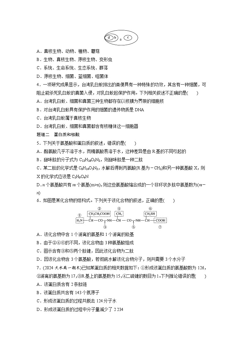 高中生物新教材同步必修第一册课件+讲义 第2章　重点突破练(一)02