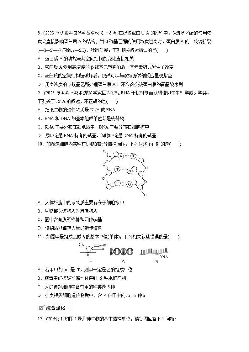 高中生物新教材同步必修第一册课件+讲义 第2章　重点突破练(一)03
