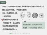 高中生物新教材同步必修第一册课件+讲义 第2章　重点突破练(一)