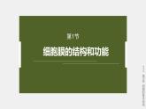 高中生物新教材同步必修第一册课件+讲义 第3章　第1节　细胞膜的结构和功能
