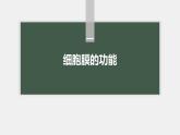 高中生物新教材同步必修第一册课件+讲义 第3章　第1节　细胞膜的结构和功能