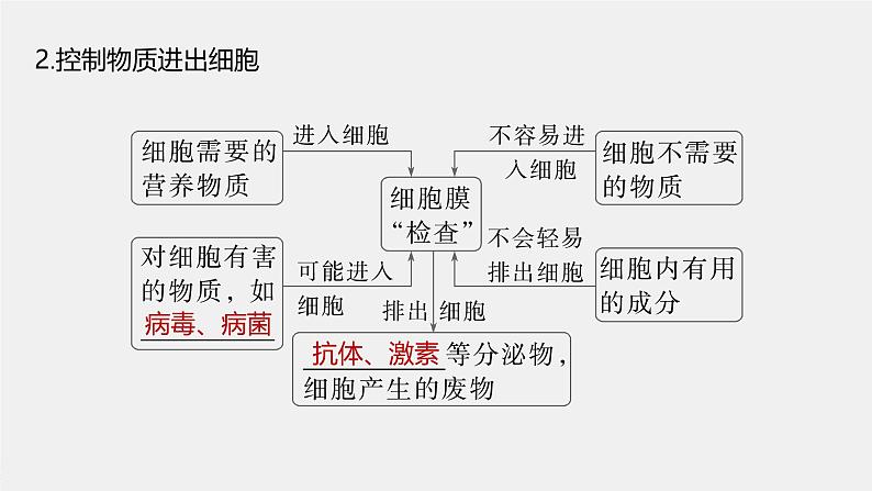 第3章　第1节　细胞膜的结构和功能第7页