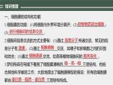 高中生物新教材同步必修第一册课件+讲义 主干知识排查(第3章)