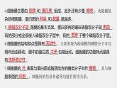 高中生物新教材同步必修第一册课件+讲义 主干知识排查(第3章)