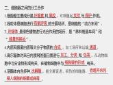 高中生物新教材同步必修第一册课件+讲义 主干知识排查(第3章)