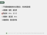 高中生物新教材同步必修第一册课件+讲义 章末检测试卷(第3章)