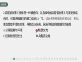 高中生物新教材同步必修第一册课件+讲义 章末检测试卷(第3章)